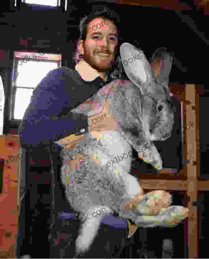 A Checkered Giant Rabbit Being Held By A Person, Demonstrating Its Gentle And Affectionate Nature The Checkered Giant Rabbit: The Absolute Checkered Giant Rabbit Manual Checkered Giant Rabbit Care Personality Grooming Feeding Health And All Included