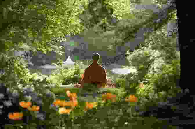 A Serene Monk Meditating In Nature, Surrounded By Lush Greenery And A Tranquil Stream, Symbolizing The Calming Presence Of Mindfulness Amidst Life's Challenges. Most Intimate: A Zen Approach To Life S Challenges