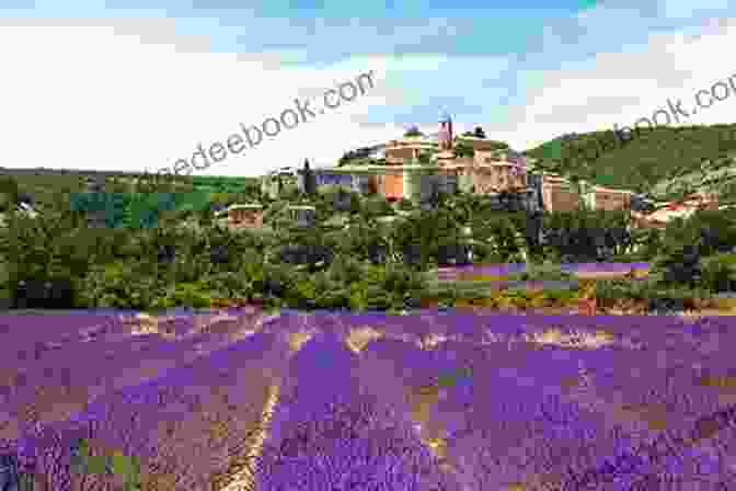 A Vast Expanse Of Lavender Fields In Provence, With A Small Village In The Distance. Curious Histories Of Provence: Tales From The South Of France