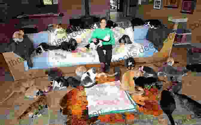 A Woman Surrounded By Cats Looking At The Camera My Life In The Cat House: True Tales Of Love Laughter And Living With Five Felines
