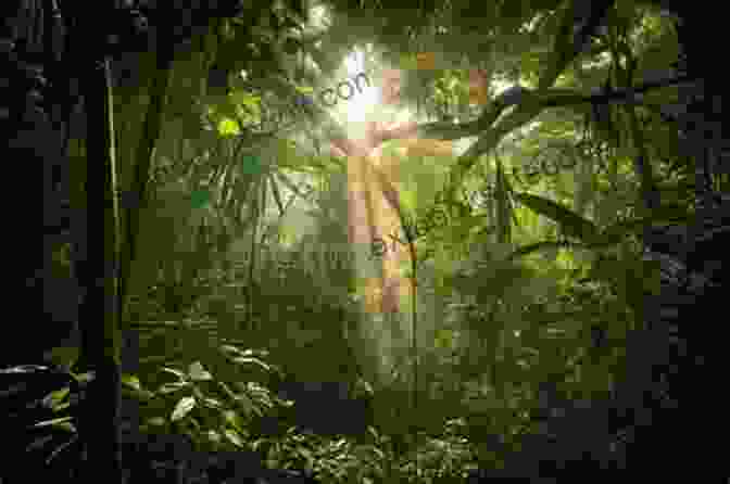 An Ethereal Forest Scene With Sunlight Filtering Through The Canopy, Casting Intricate Patterns On The Ground. A Mystical Creature, Half Human, Half Stag, Emerges From The Shadows, Its Eyes Gleaming With Wisdom And Ancient Knowledge. Spirit Of The Woods Sylvan Musings (Enhanced Illustrations Included)