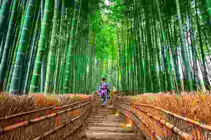 Arashiyama Bamboo Forest, Kyoto, Japan Top Two Kyoto: A Kyoto Travel Guide Made Simple