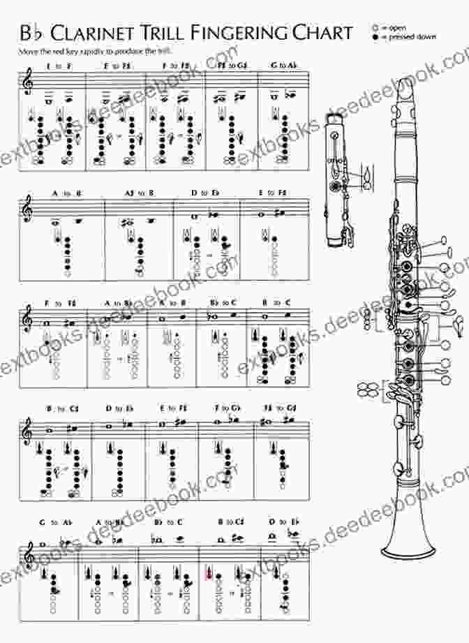 Clarinet Fingering Chart First Lessons Clarinet James Hoag
