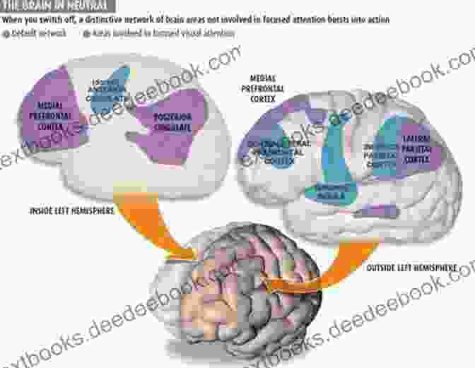 Default Mode Network In Depression Systems Neuroscience In Depression Roxanne Whatley