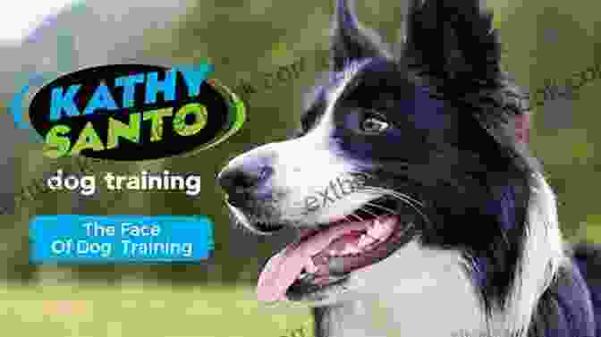 Kathy Santo Dog Sense Training Kathy Santo S Dog Sense Kathy Santo