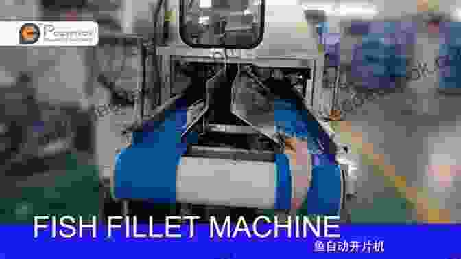 Robotic Fish Filleting Machine Innovative Technologies In Seafood Processing (Contemporary Food Engineering)