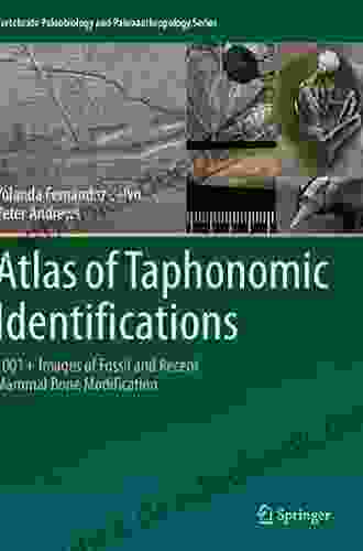Atlas Of Taphonomic Identifications: 1001+ Images Of Fossil And Recent Mammal Bone Modification (Vertebrate Paleobiology And Paleoanthropology 0)