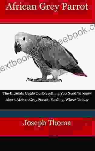 New TitleAfrican Grey Parrot: The Ultimate Guide On Everything You Need To Know About African Grey Parrot Feeding Where To Buy