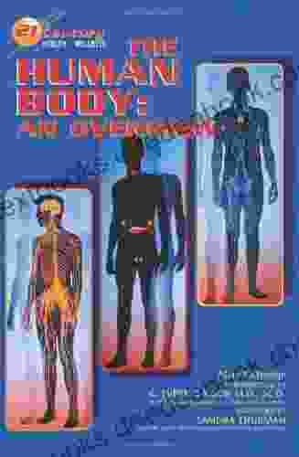 Human Body: An Overview (21st Century Health And Wellness)