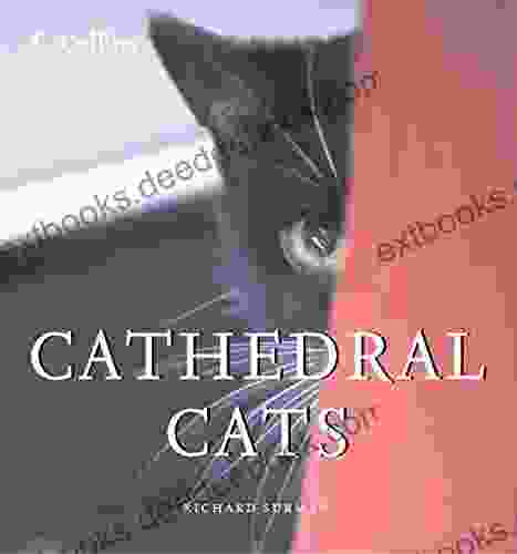 Cathedral Cats Richard Surman