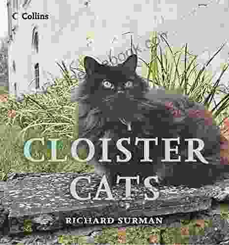 Cloister Cats Richard Surman
