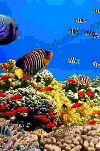 Coral Reefs Of The Red Sea (Coral Reefs Of The World 11)