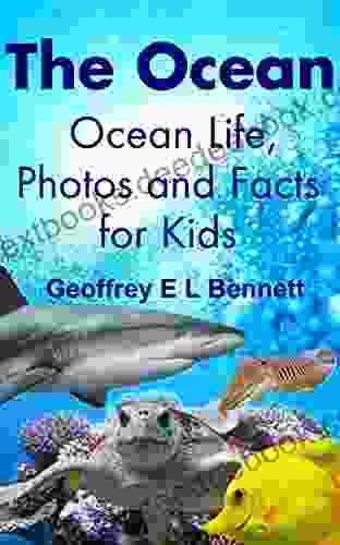 The Ocean: Ocean Life Photos And Facts For Kids