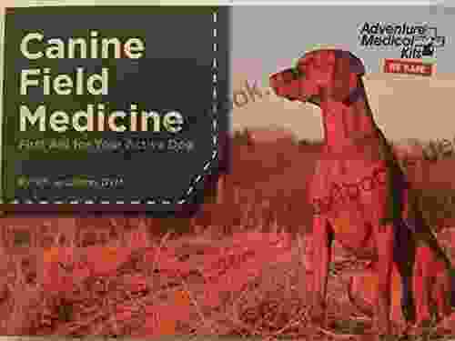 Canine Field Medicine: First Aid For Your Active Dog