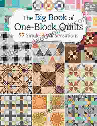 The Big Of One Block Quilts: 57 Single Block Sensations