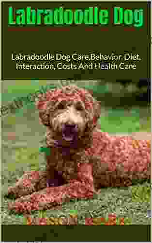 Labradoodle Dog : Labradoodle Dog Care Behavior Diet Interaction Costs And Health Care