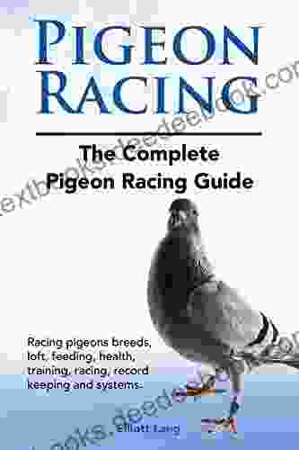 Racing Pigeons Racing Pigeons Guide Racing Pigeons Breeds Feeding Loft Health Racing Training Systems Record Keeping