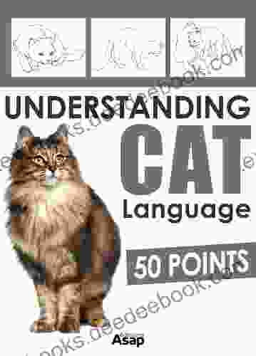 Understanding Cat Language 50 Points