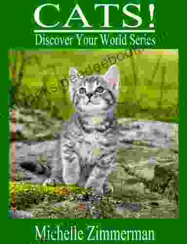Cats (Discover Your World Series)